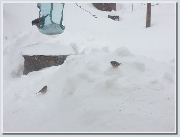 Coolpix P7700 и Coolpix P310 — два практичных компакта от Nikon