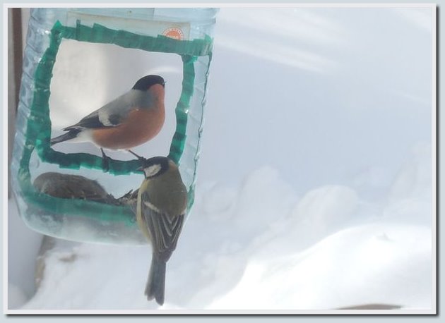 Coolpix P7700 и Coolpix P310 — два практичных компакта от Nikon