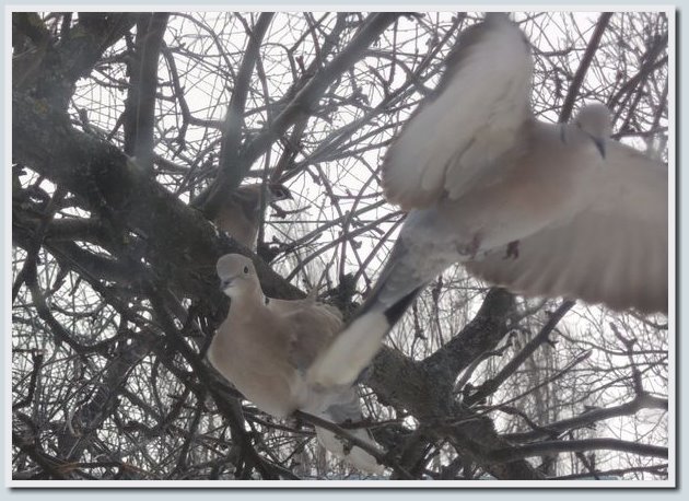 Coolpix P7700 и Coolpix P310 — два практичных компакта от Nikon