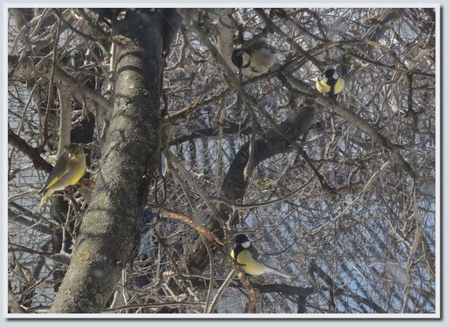 Coolpix P7700 и Coolpix P310 — два практичных компакта от Nikon