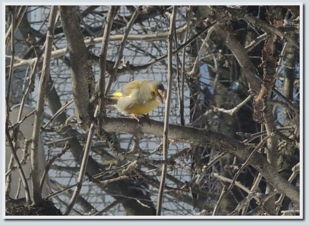 Coolpix P7700 и Coolpix P310 — два практичных компакта от Nikon