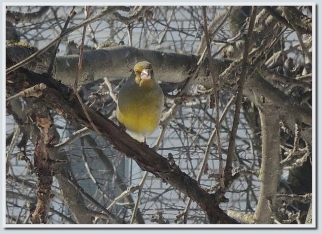 Coolpix P7700 и Coolpix P310 — два практичных компакта от Nikon