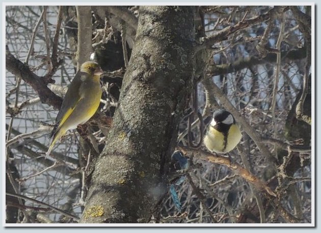 Coolpix P7700 и Coolpix P310 — два практичных компакта от Nikon