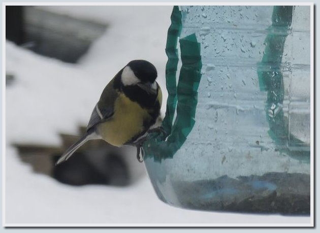 Coolpix P7700 и Coolpix P310 — два практичных компакта от Nikon