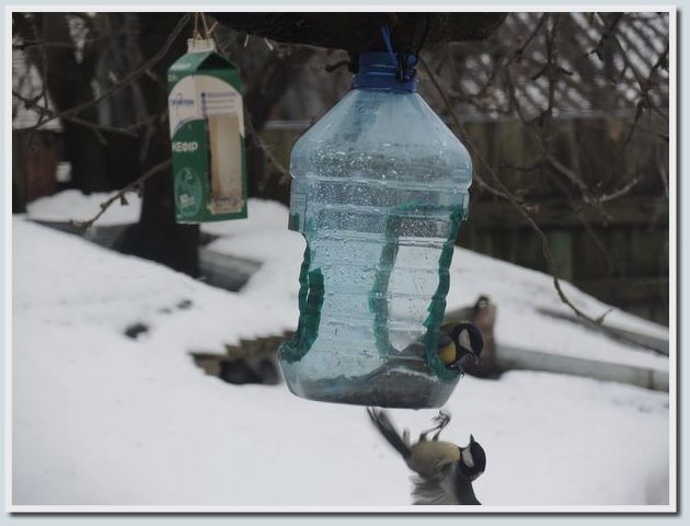 Coolpix P7700 и Coolpix P310 — два практичных компакта от Nikon