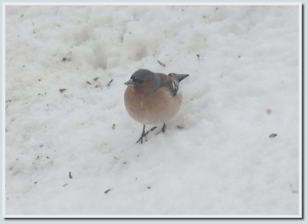 Coolpix P7700 и Coolpix P310 — два практичных компакта от Nikon