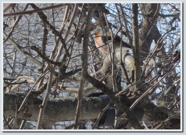 Coolpix P7700 и Coolpix P310 — два практичных компакта от Nikon