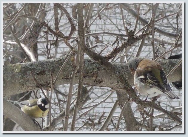 Coolpix P7700 и Coolpix P310 — два практичных компакта от Nikon