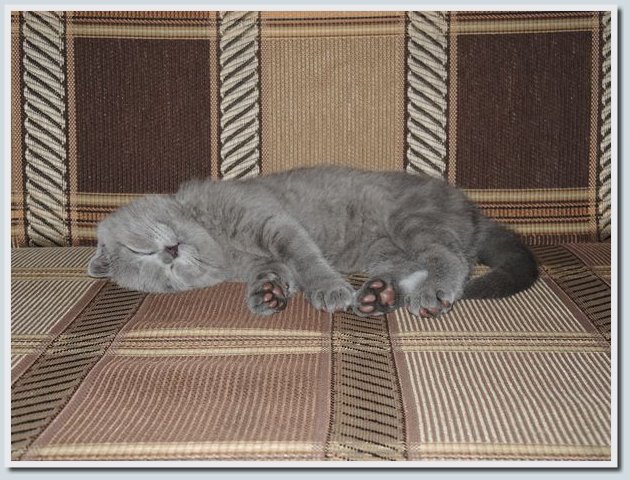 Coolpix P7700 и Coolpix P310 — два практичных компакта от Nikon