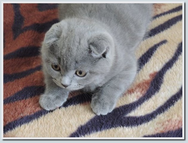 Coolpix P7700 и Coolpix P310 — два практичных компакта от Nikon