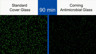 Corning разрабатывает антибактериальный и антибликовый экран