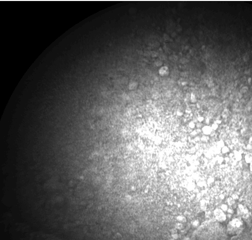 Curiosity провел самое подробное геологическое исследование на Марсе image