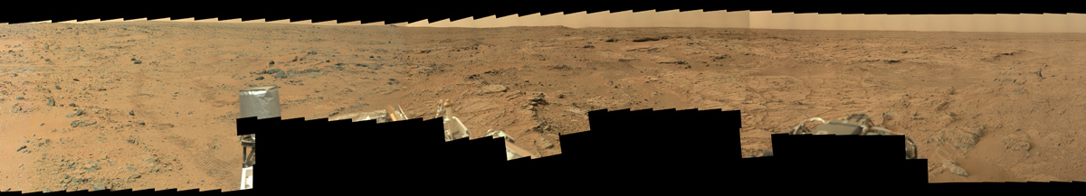 Curiosity — год image