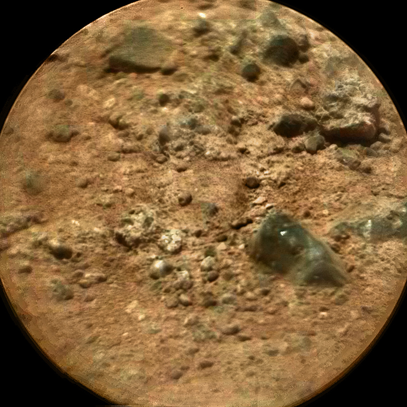 Curiosity — год