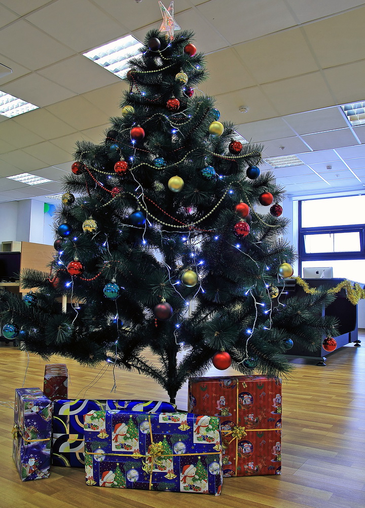 FastVPS.ru — офис компании в Санкт Петербурге