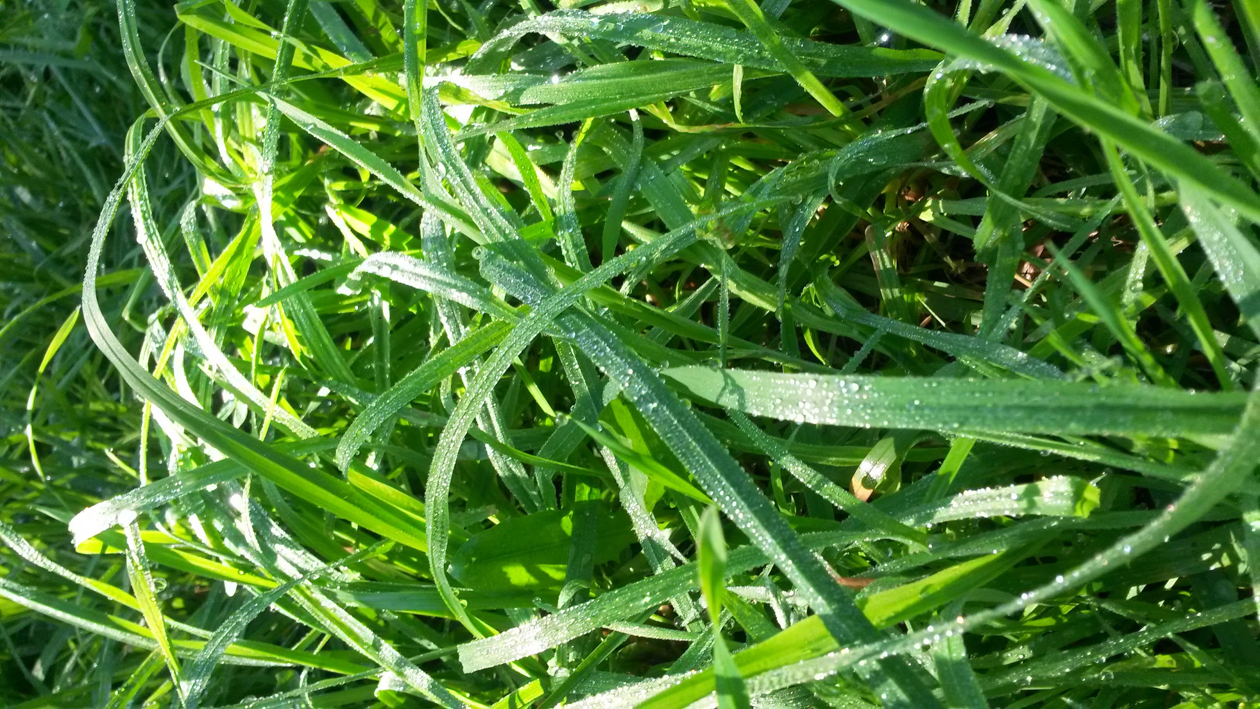 GALAXY S4 Active — смартфон для лучшей жизни