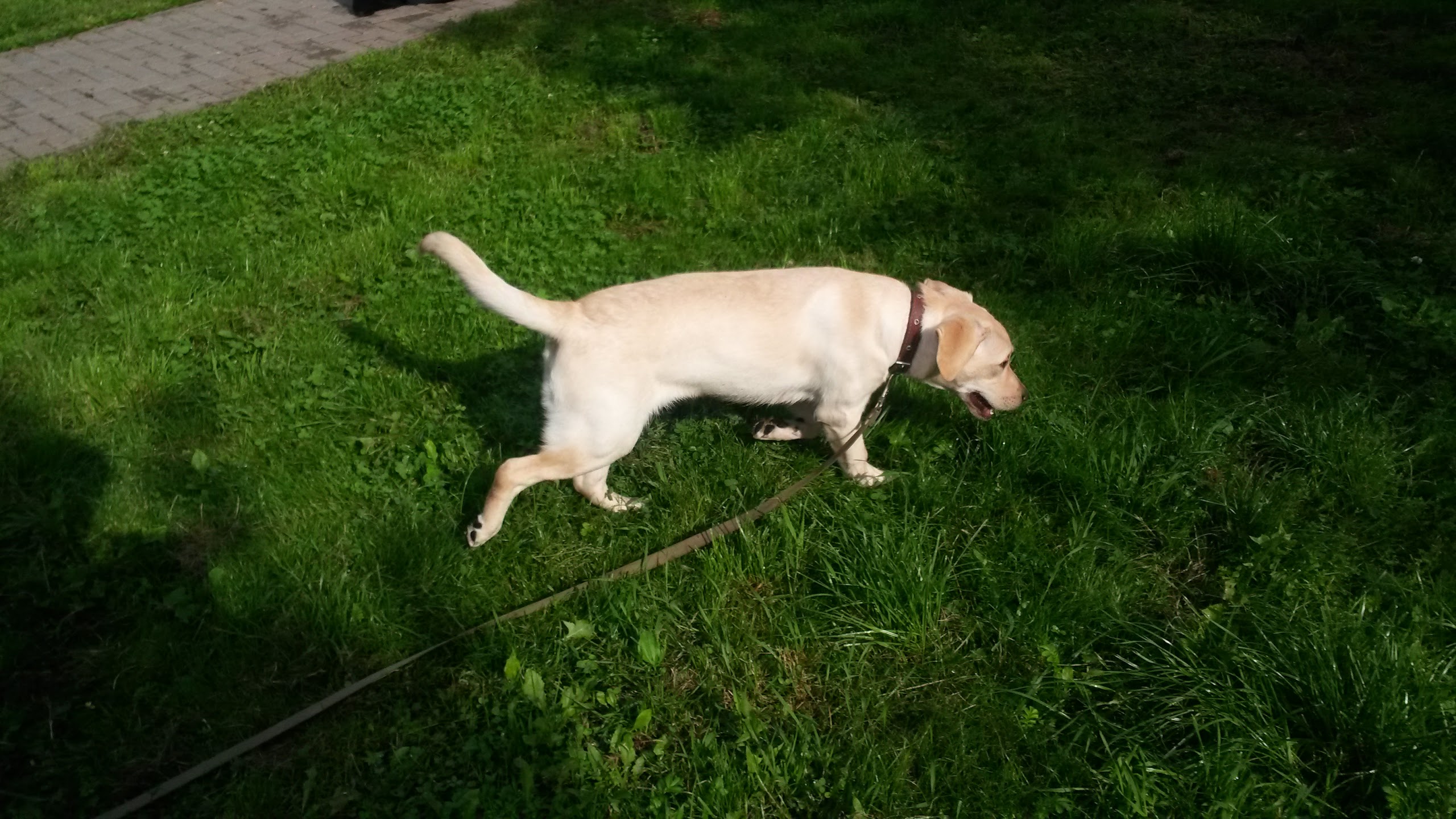 GALAXY S4 Active — смартфон для лучшей жизни