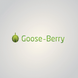 Gooseberry — интересная альтернатива Raspberry Pi