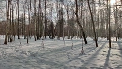 HTC Butterfly — красота на кончиках пальцев HTC Butterfly — красота на кончиках пальцев