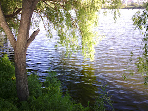 Haipai I9220 — Как китайцы копировали Galaxy Note, а получился 5" планшет Haipai I9220 — Как китайцы копировали Galaxy Note, а получился 5" планшет