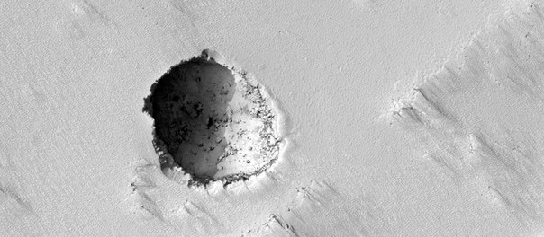 HyTAQ Robot — птичка в клетке image