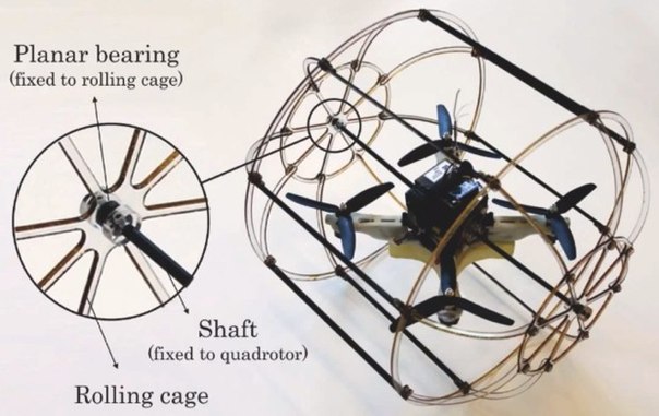 HyTAQ Robot — птичка в клетке image