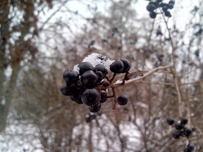 Jiayu G2 — прекрасное соотношение цены/размера/функциональности!