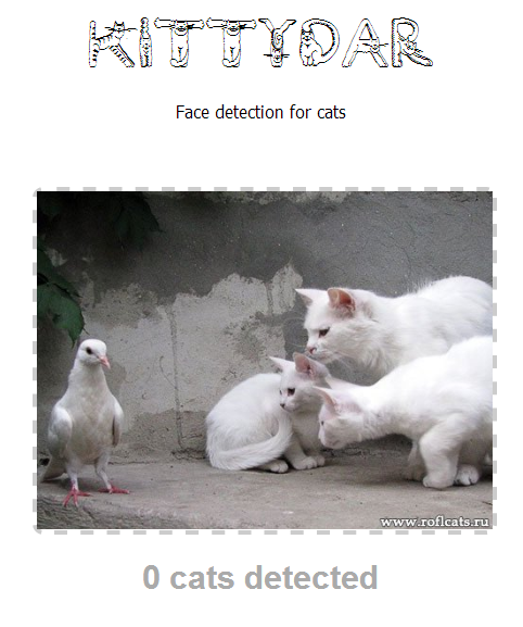 Kittydar: кошачий детектор на JavaScript
