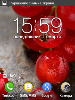 LG Optimus L1 II: ультрабюджетный сегмент, корейская версия