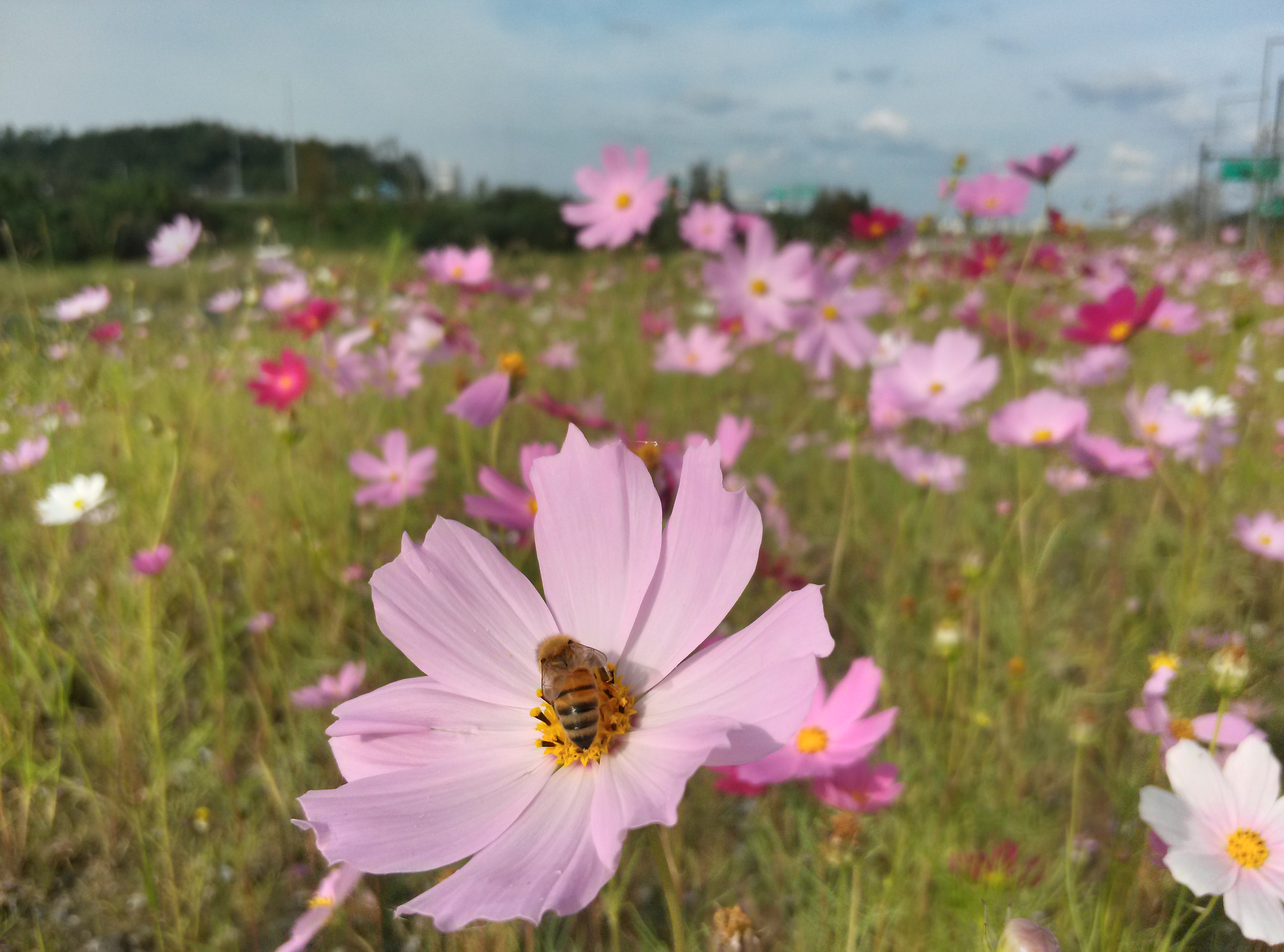 LG и Qualcomm совместно представили LG Optimus G — первый смартфон на Snapdragon S4 Pro image