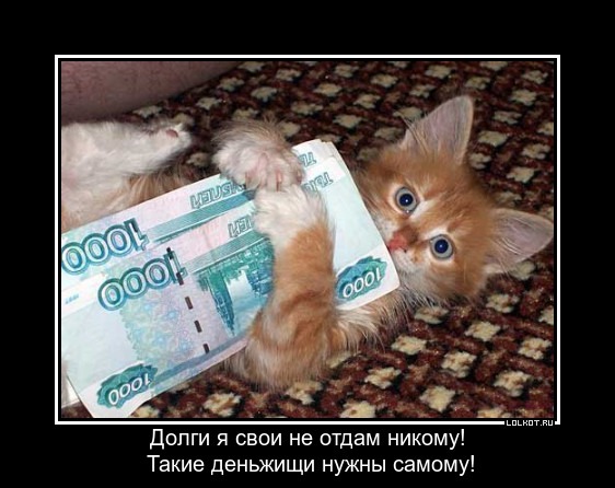 MNP: Скидывай оковы правильно MNP: Скидывай оковы правильно