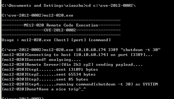 MS12 020: разведение RDP червей image