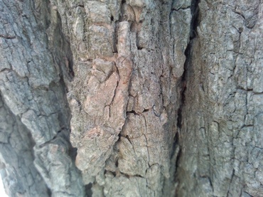 Meizu MX2 — субьективные впечатления спустя месяц использования image