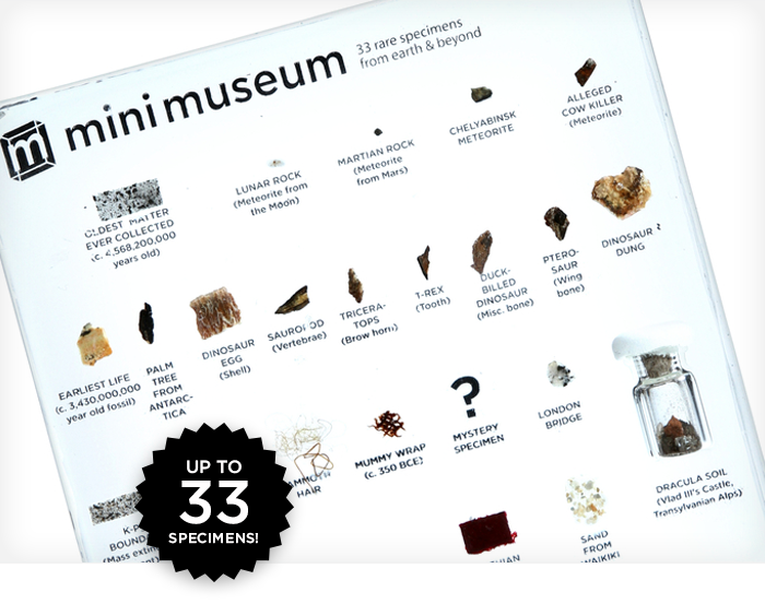 Mini Museum: естественно научный музей в миниатюре на собственном столе