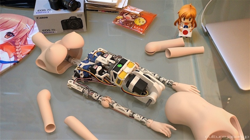 Mirai Suenaga Smart Doll.