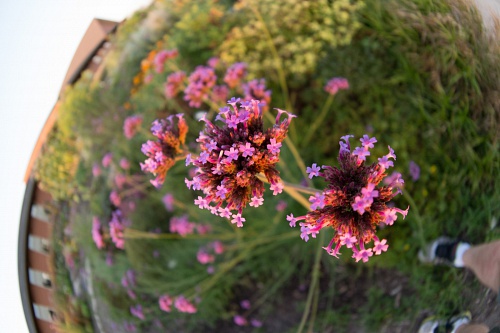 NX экосистема, оптика, 2.1 A5JBdb.jpg