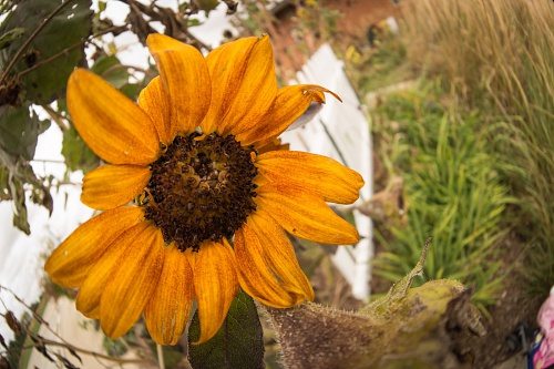 NX экосистема, оптика, 2.1 FNLEn0.jpg