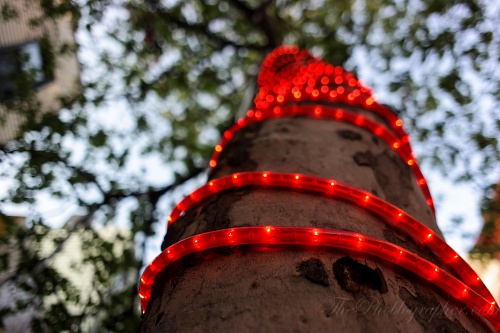 NX экосистема, оптика, 2.1 XchOyM.jpg