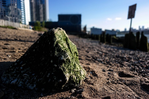 NX экосистема, оптика, 2.1 NGeYXs4m.jpg