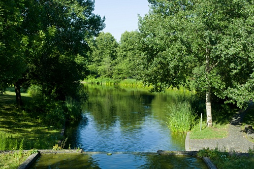 NX экосистема, оптика, 2.1 gLpuaOv.jpg