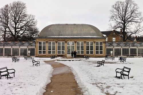 NX экосистема, оптика, 2.1 XnBrW2R7.jpg