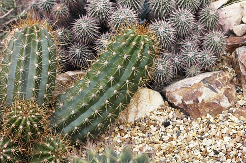 NX экосистема, оптика, 2.1 o92VhfNSb.jpg