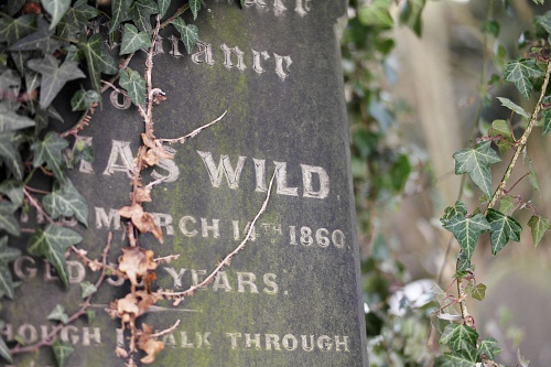 NX экосистема, оптика, 2.1 6balY.jpg