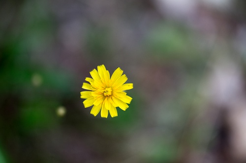 NX экосистема, оптика, 2.1 tMx9A8LD.jpg