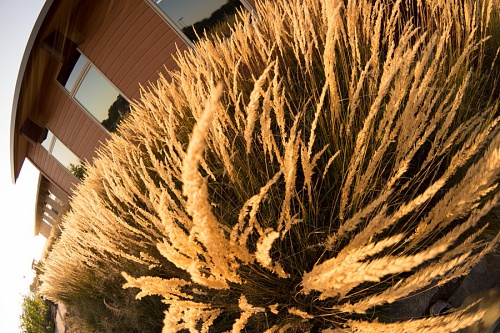 NX экосистема, оптика, 2.1 XAmNRrI6eC.jpg