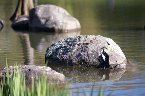 NX экосистема, оптика, 2.1 FMUl.jpg