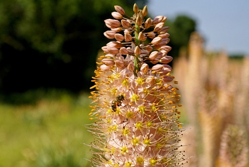 NX экосистема, оптика, 2.2 UxHIB.jpg