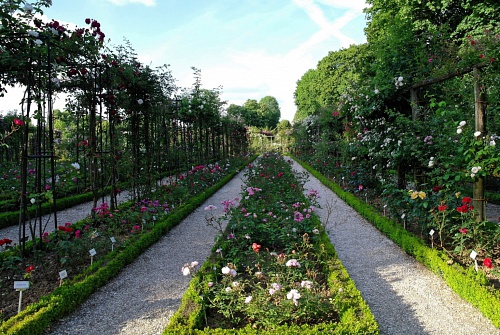 NX экосистема, оптика, 2.2 KrbuZ.jpg