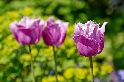 NX экосистема, оптика, 2.2 YyNwEe.jpg