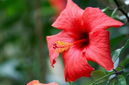 NX экосистема, оптика, 2.2 eU4Kd6M.jpg